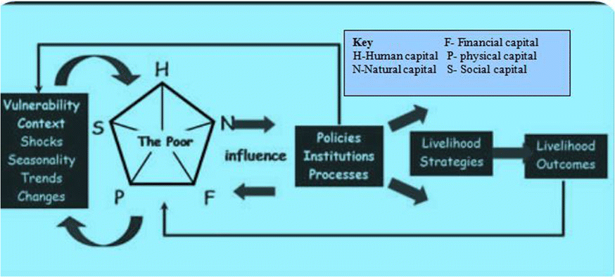 Fig. 1