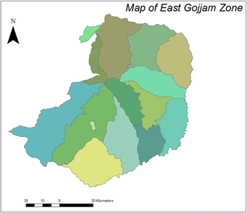 Fig. 1