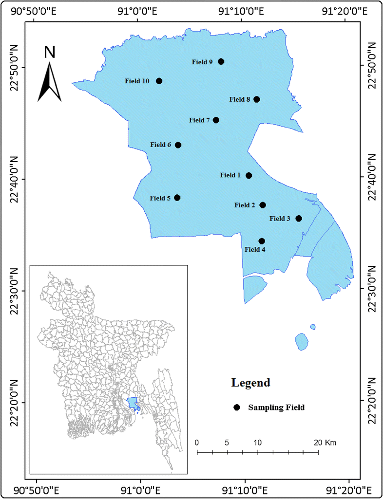 Fig. 1