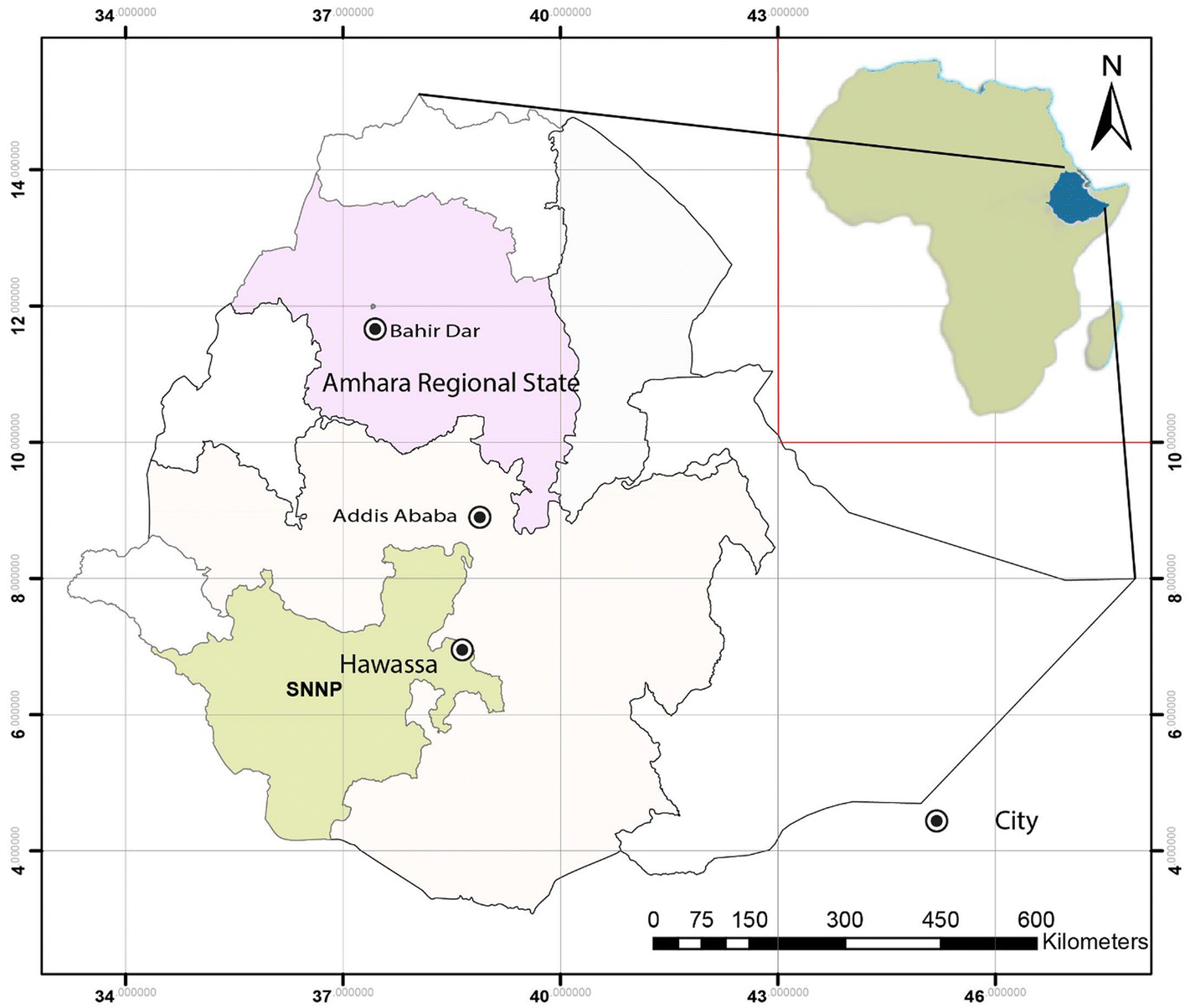 Fig. 1