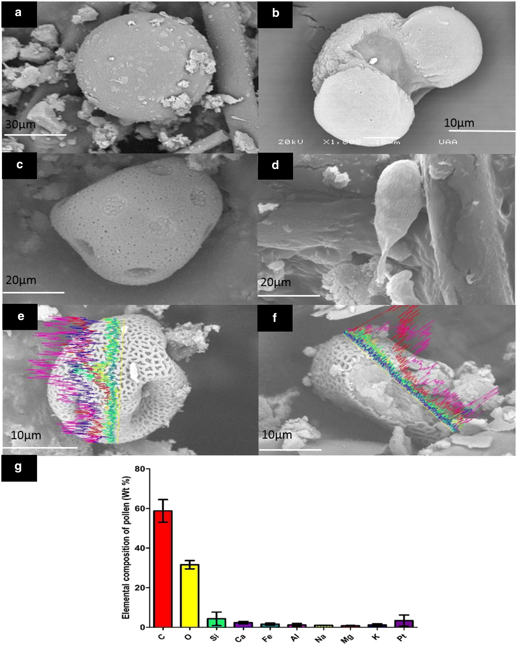 Fig. 8