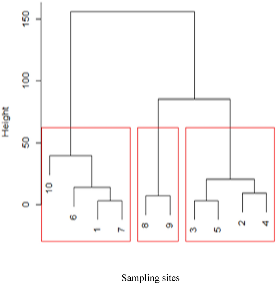 Fig. 6