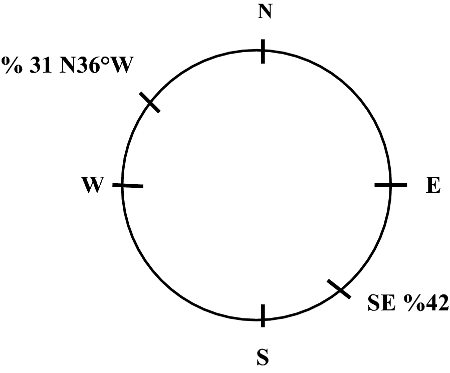 Fig. 19