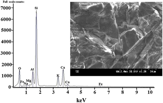 Fig. 7