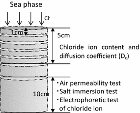 Fig. 2