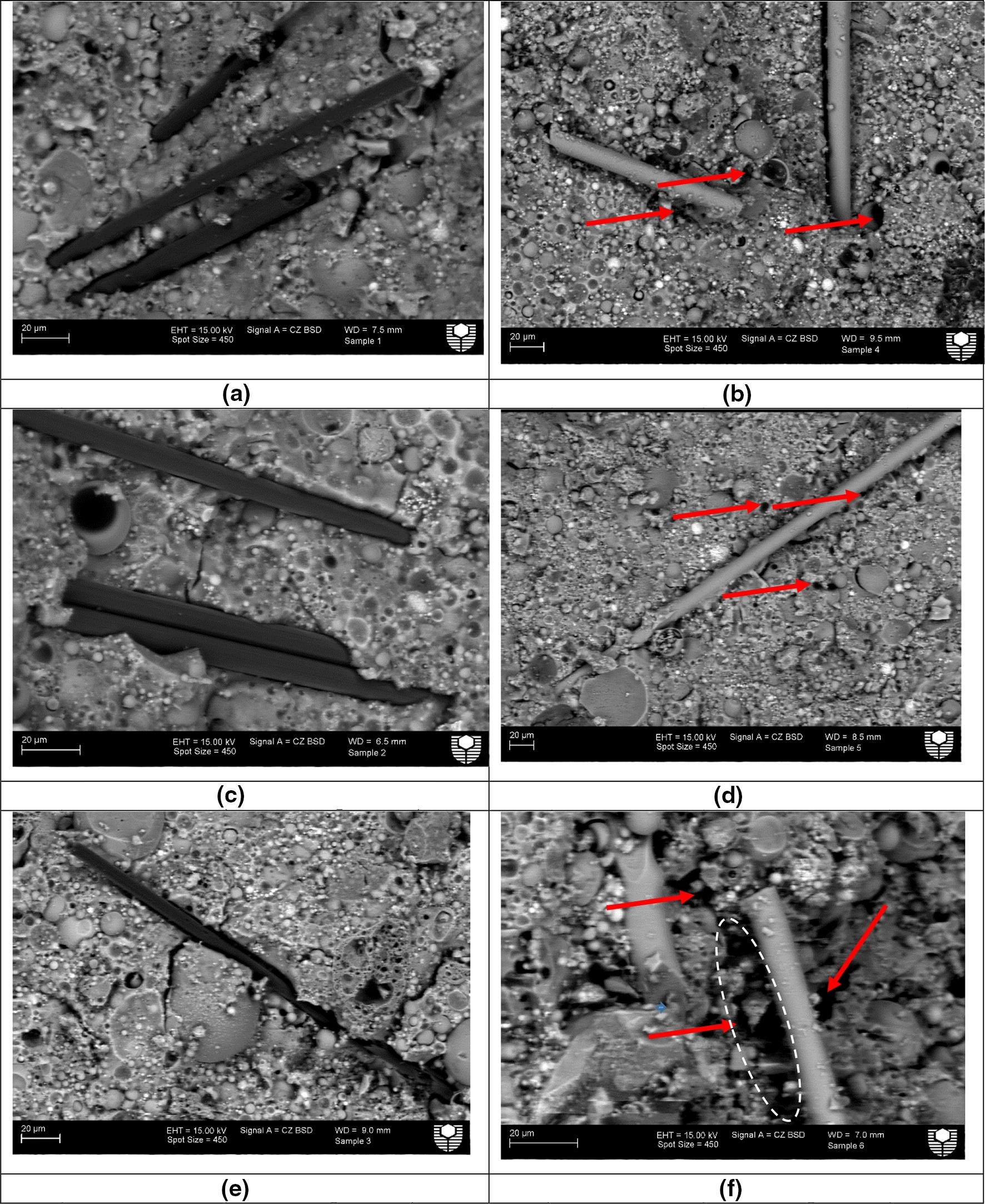 Fig. 10