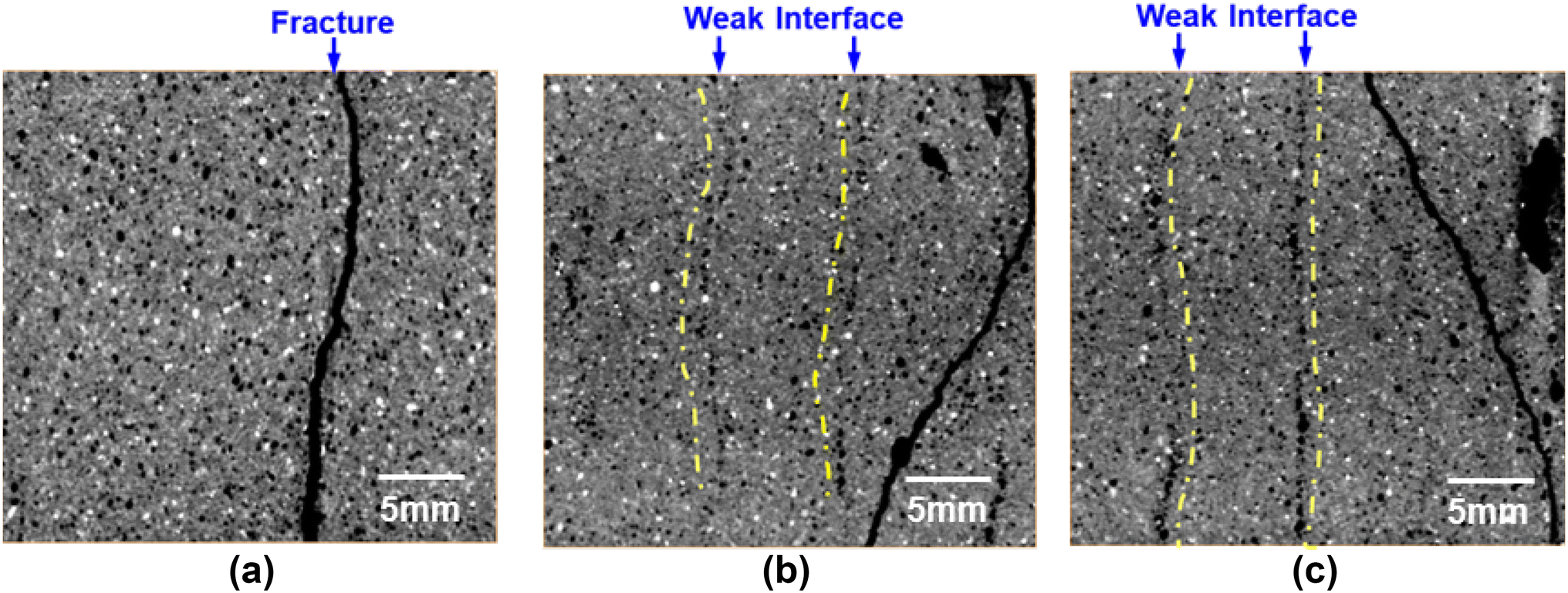 Fig. 7