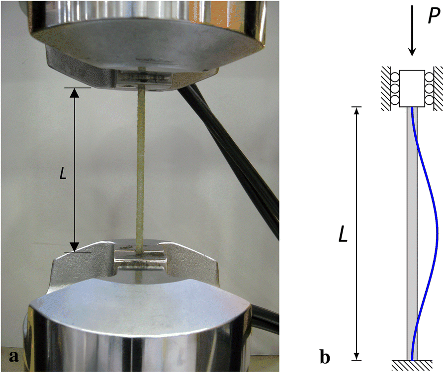 Fig. 5