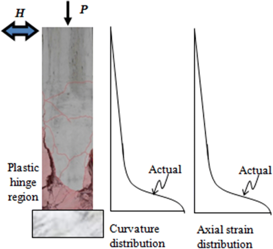 Fig. 1