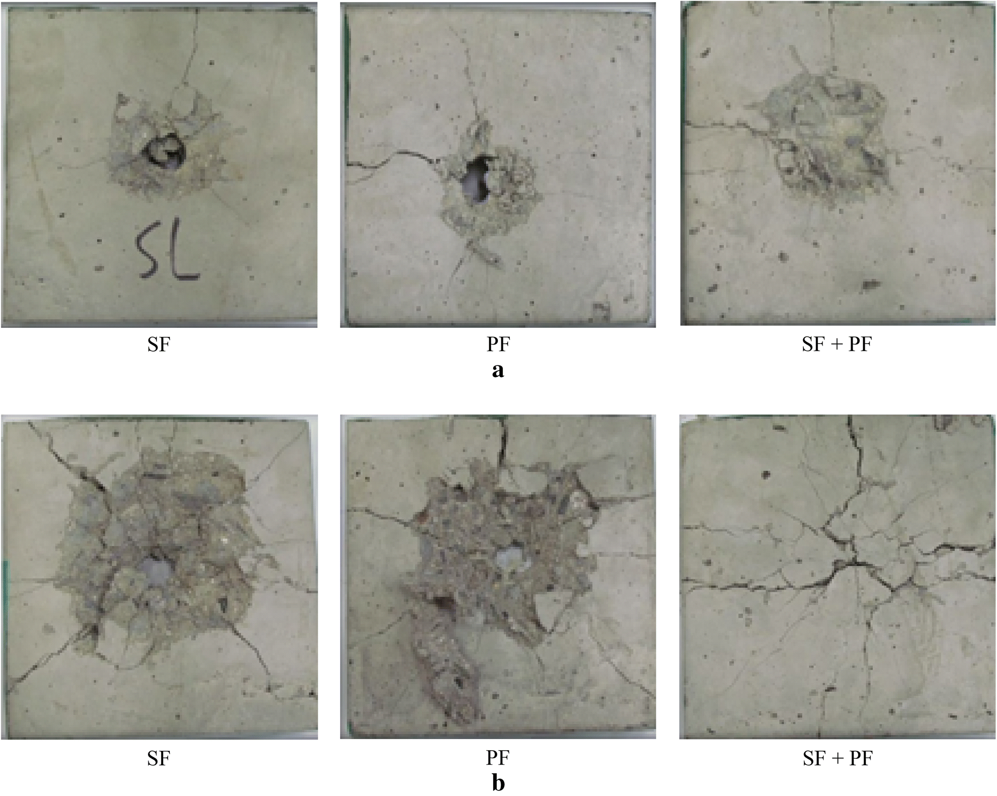 Fig. 11