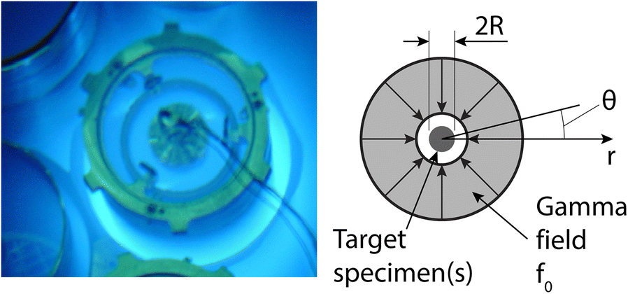 Fig. 1