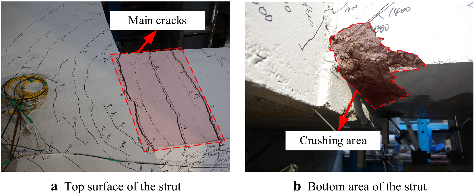 Fig. 9