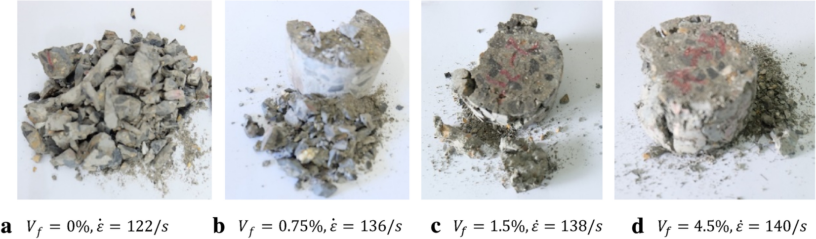 Fig. 10