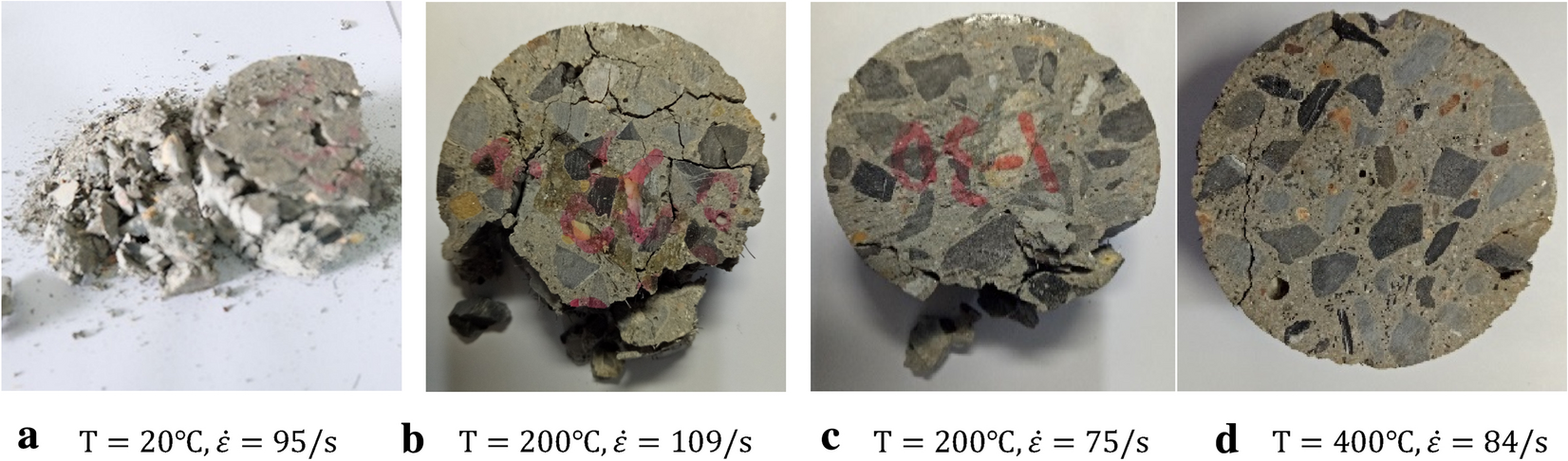 Fig. 13