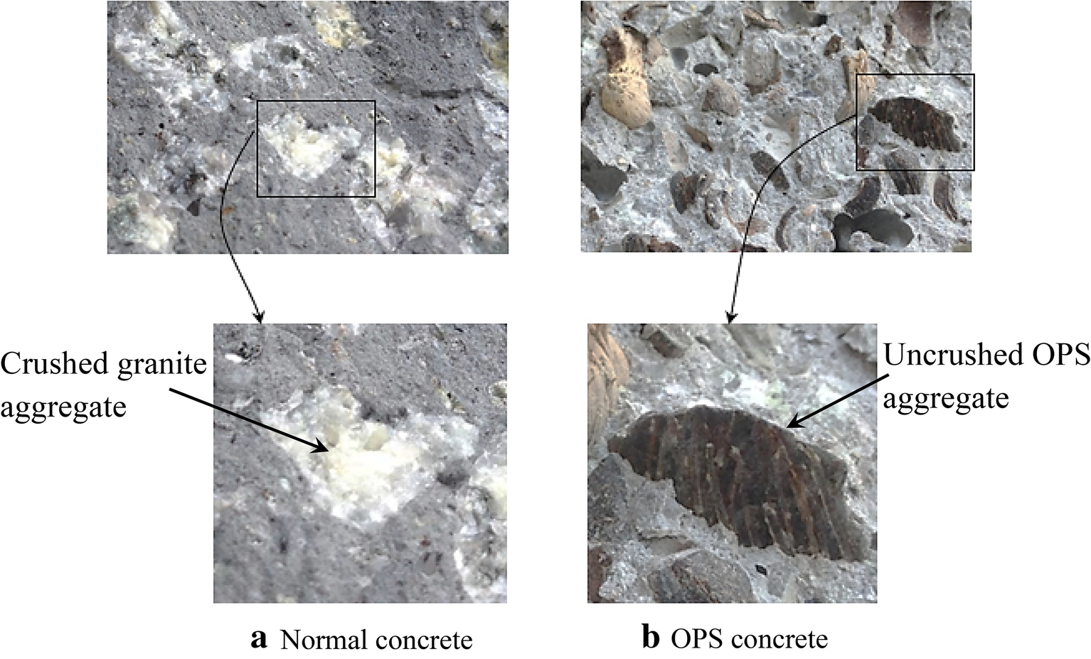 Fig. 15