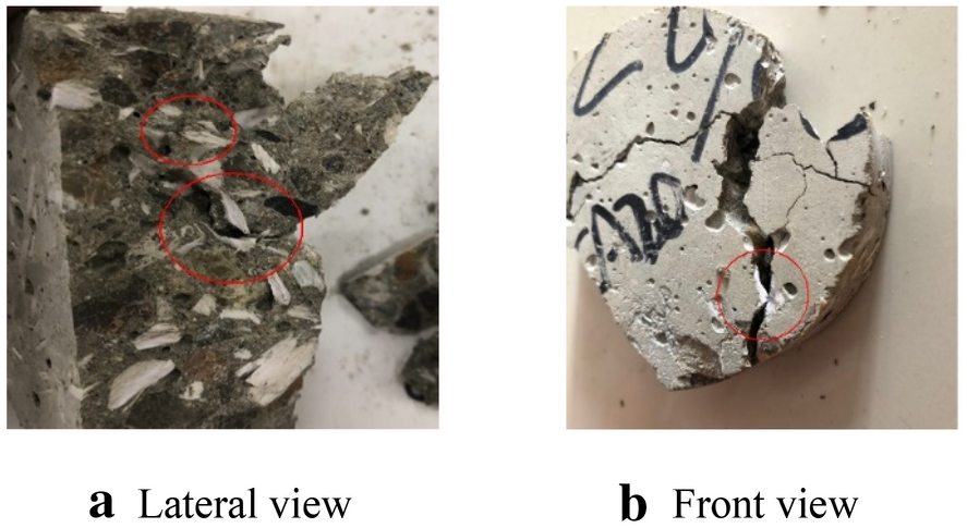 Fig. 13