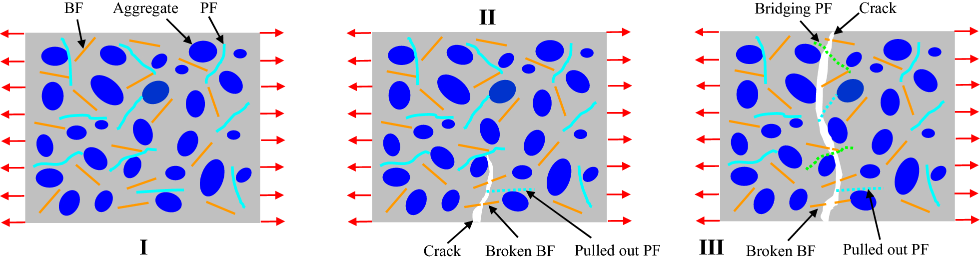 Fig. 11