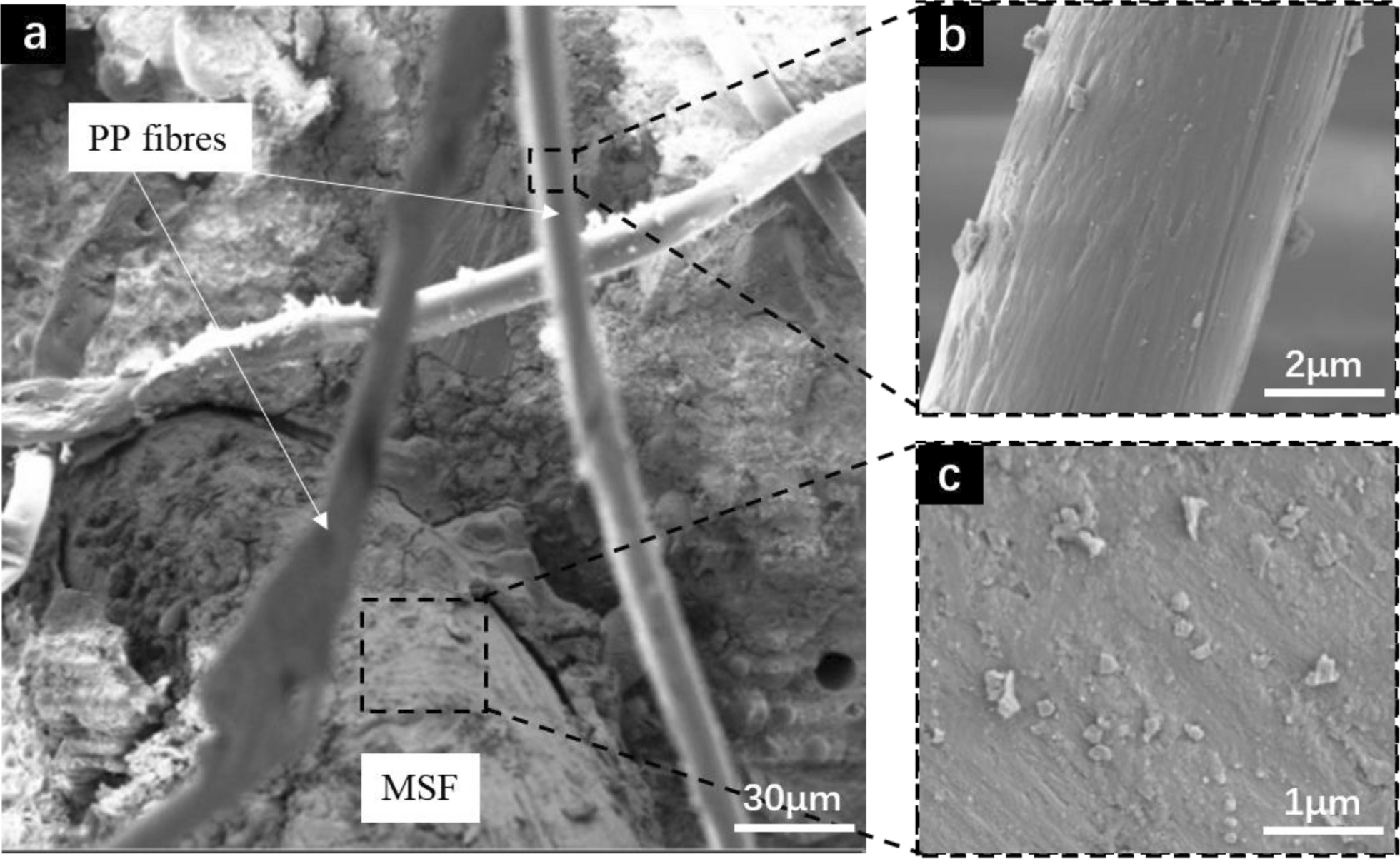 Fig. 10