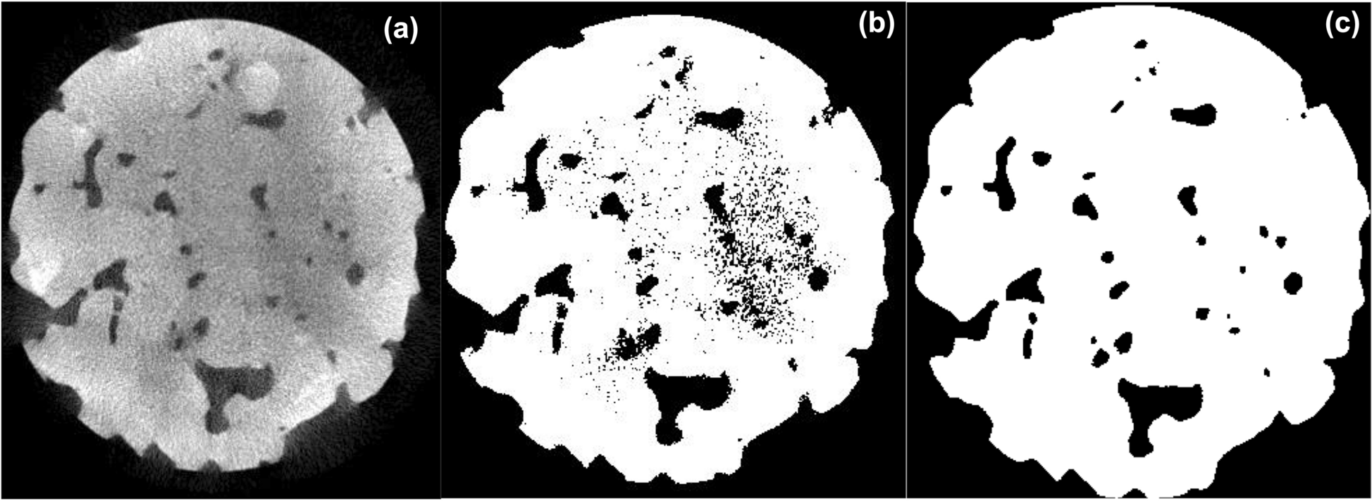 Fig. 8