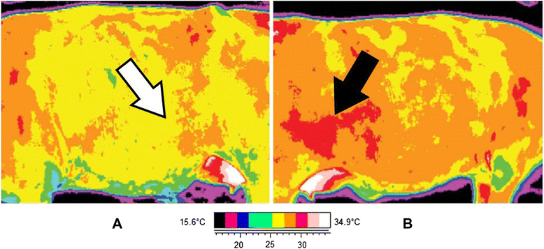 Fig. 9