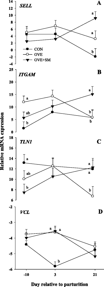 Fig. 5