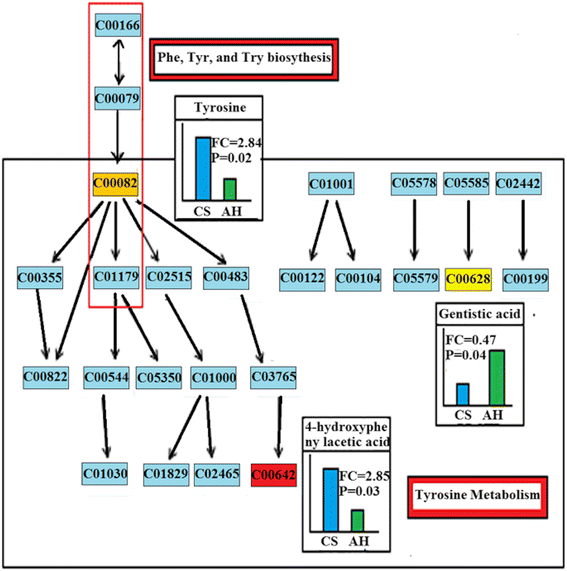 Fig. 5