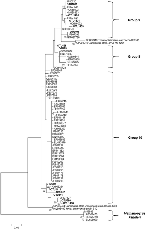 Fig. 5