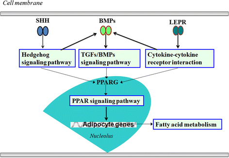 Fig. 5