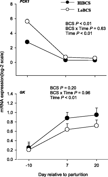 Fig. 8