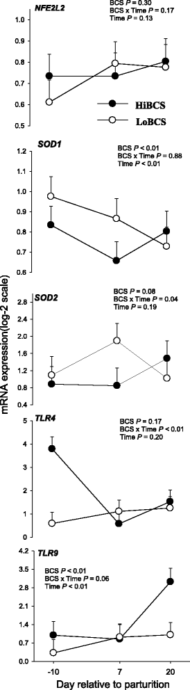 Fig. 9