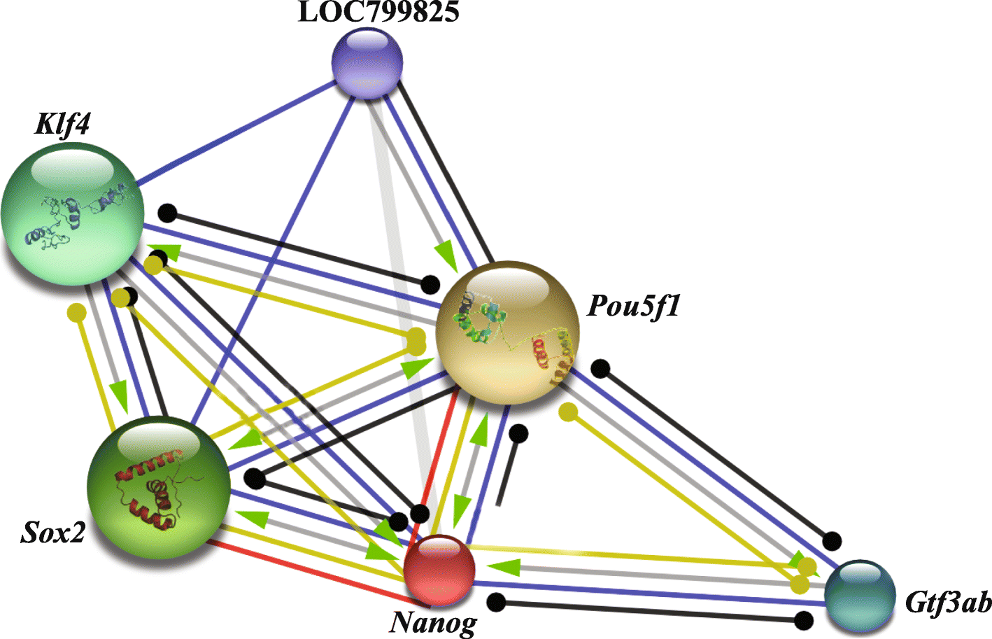 Fig. 8