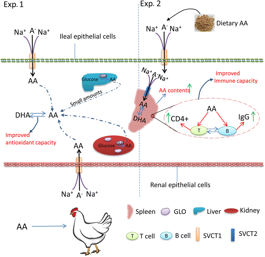 Fig. 6