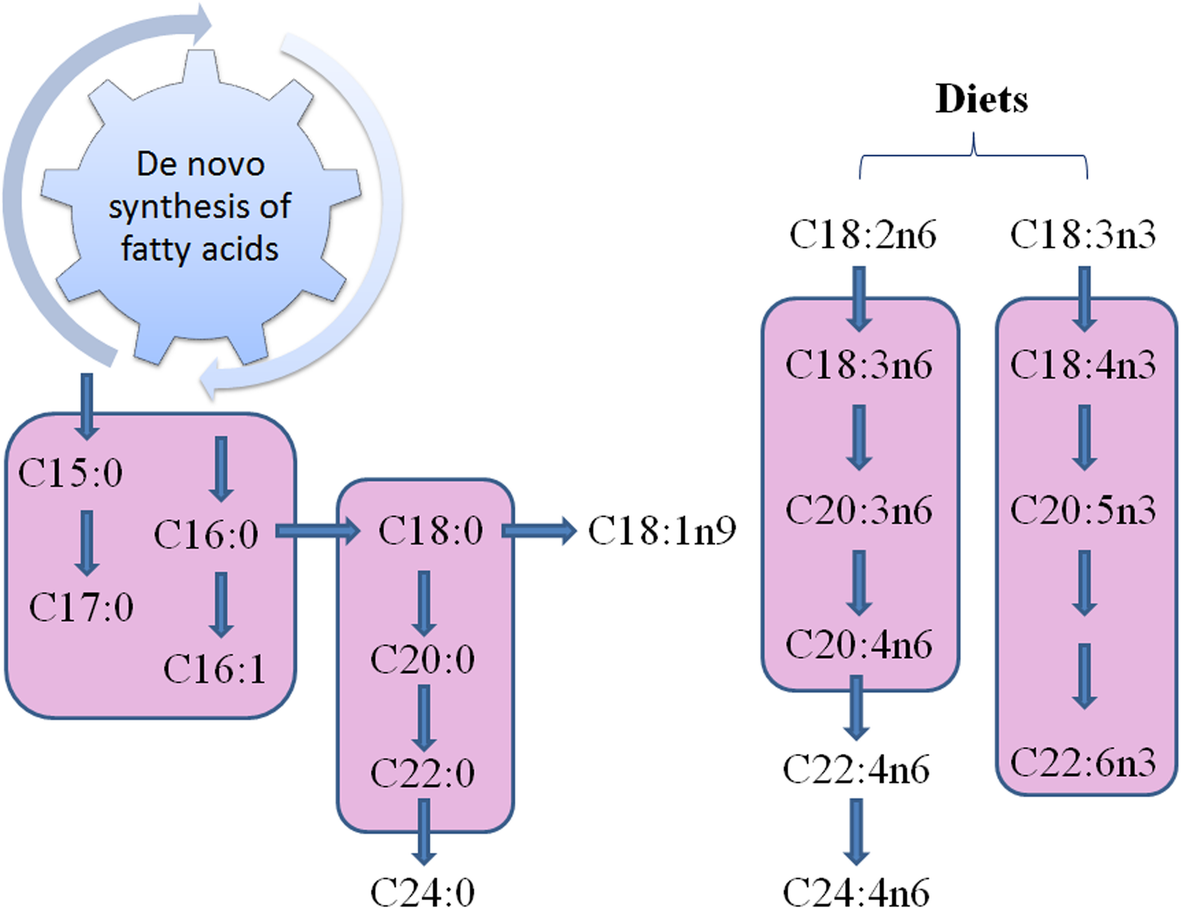 Fig. 3