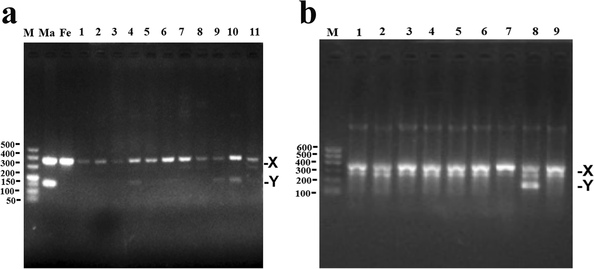 Fig. 7