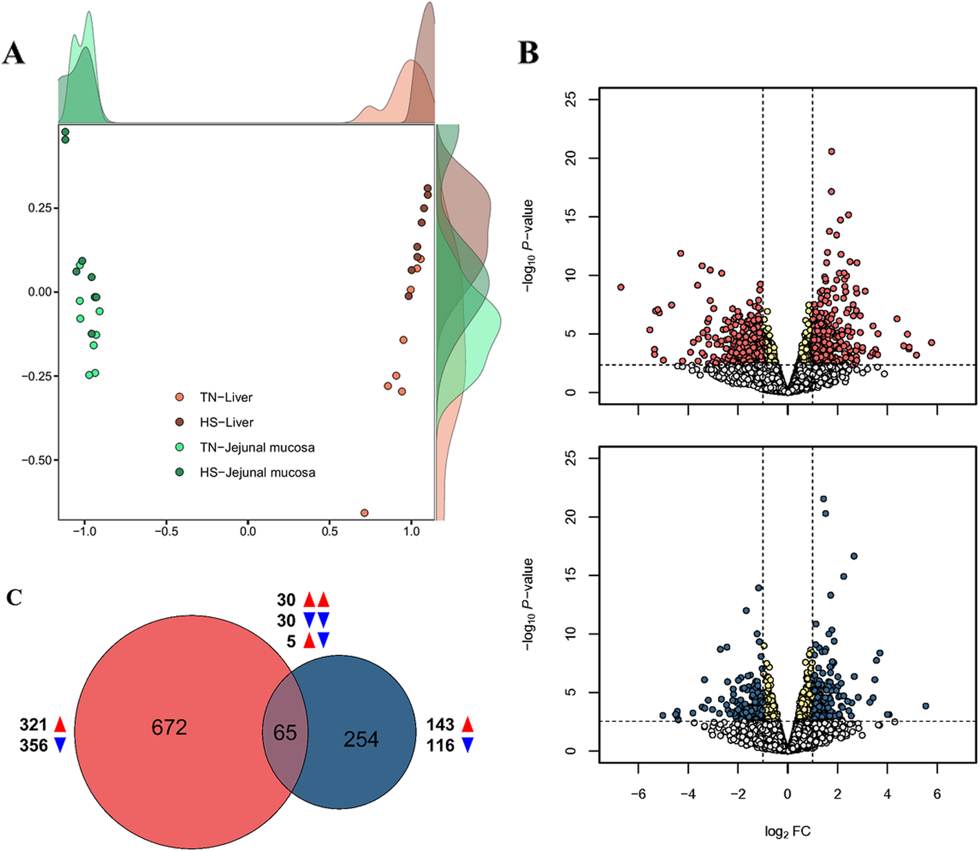 Fig. 2