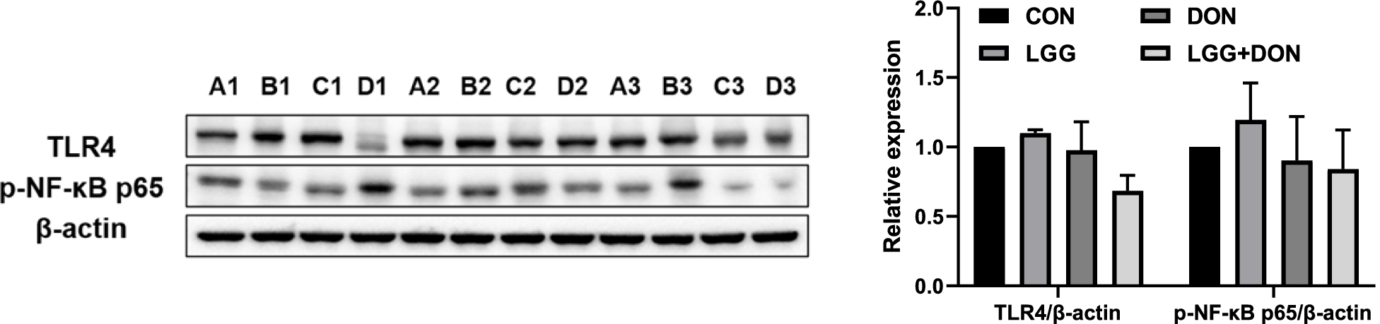 Fig. 8