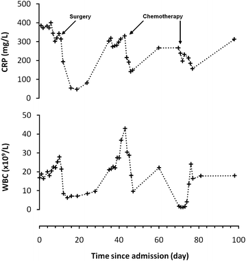 Fig. 1