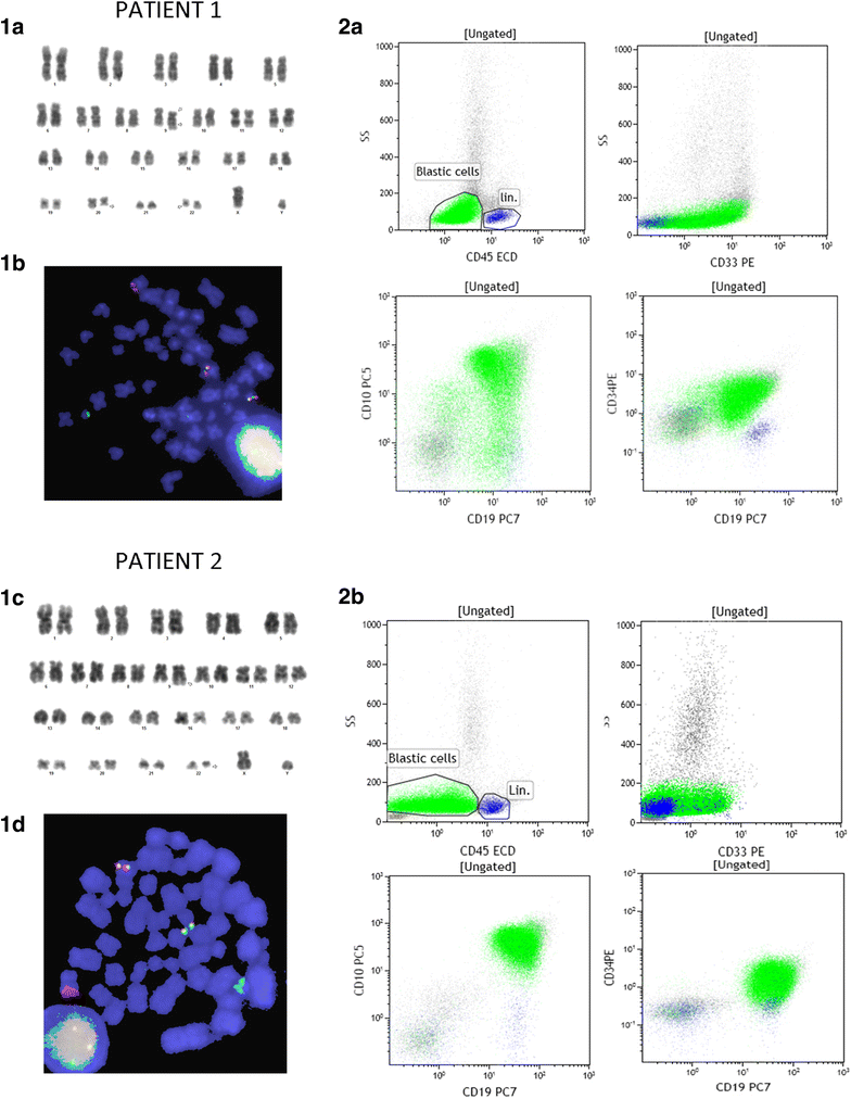 Fig. 1