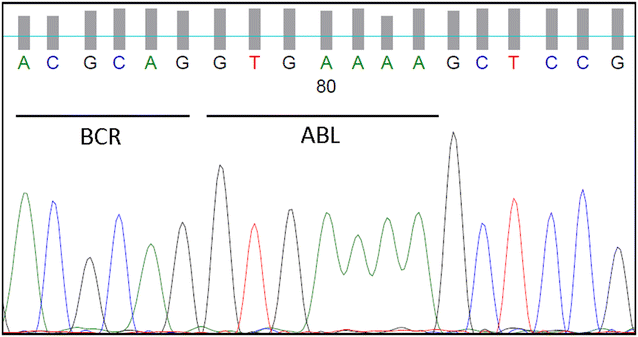 Fig. 2