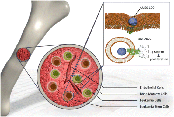 Fig. 5