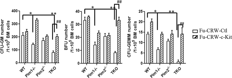 Fig. 2