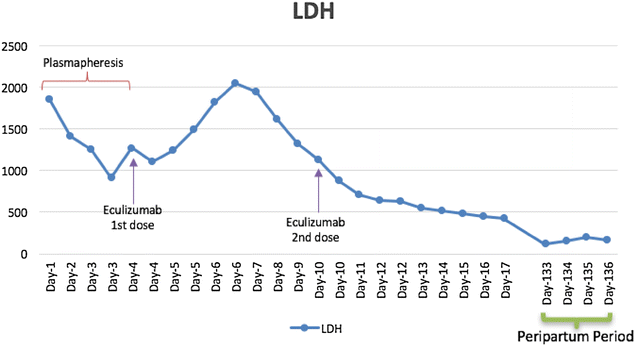 Fig. 4