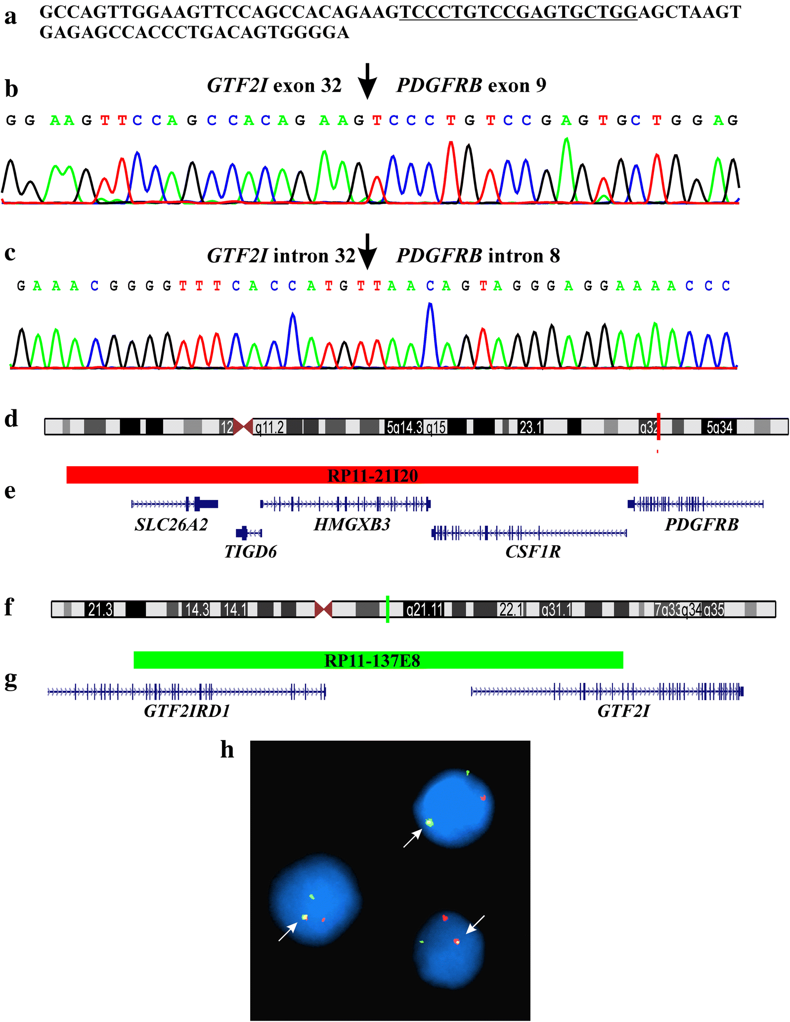 Fig. 2