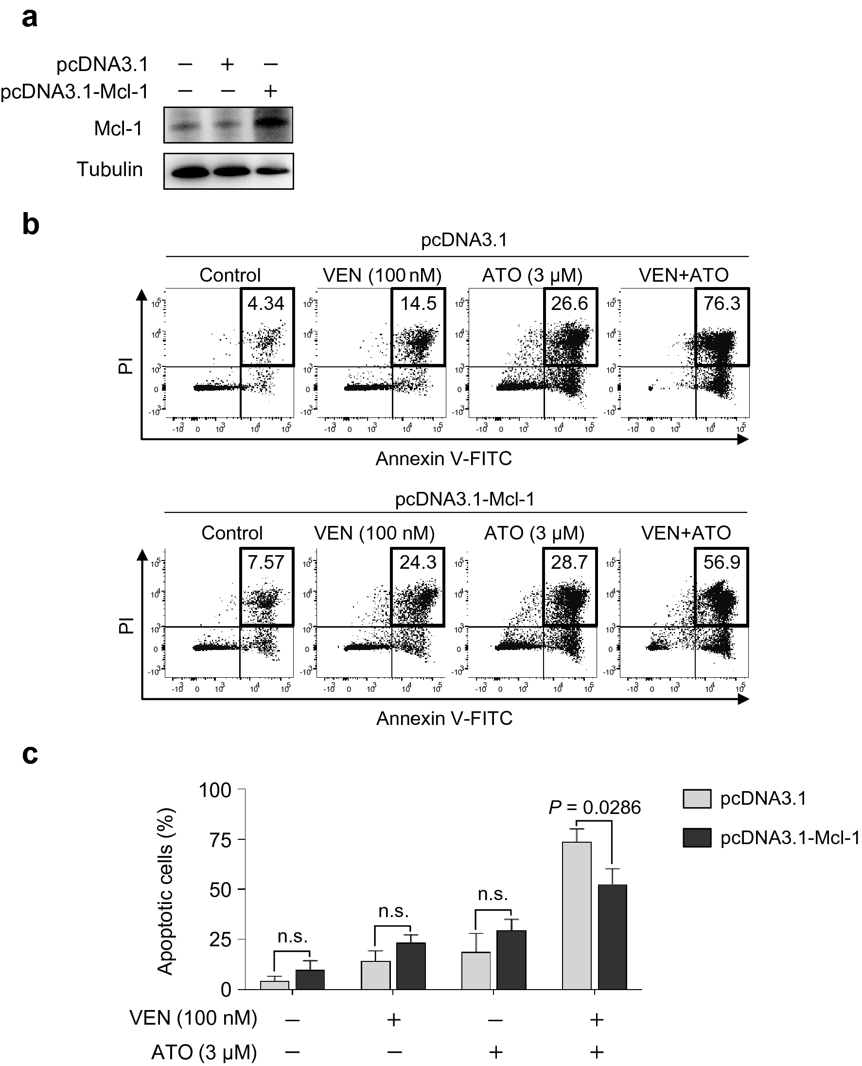 Fig. 6