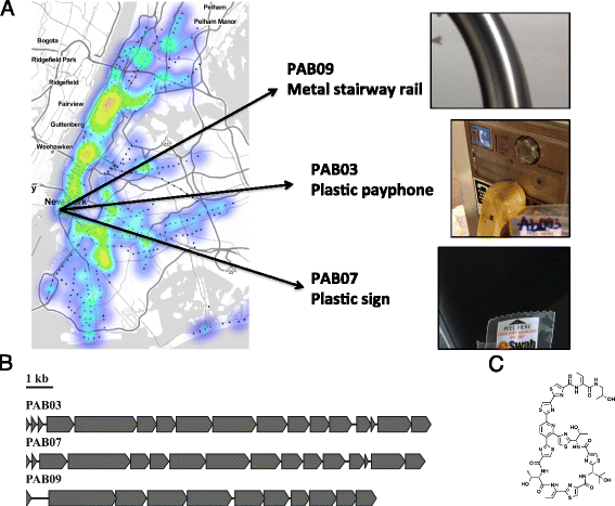 Fig. 3