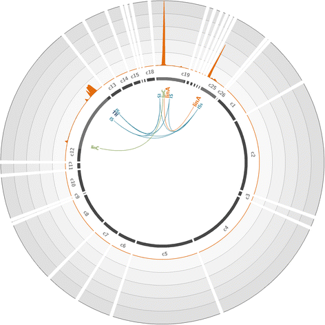 Fig. 3