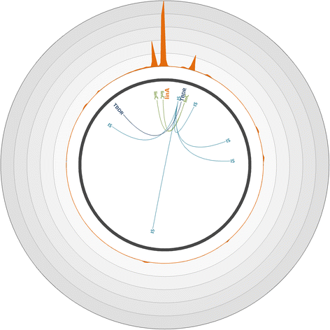 Fig. 4