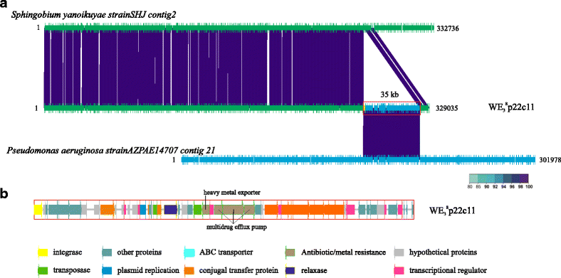 Fig. 7