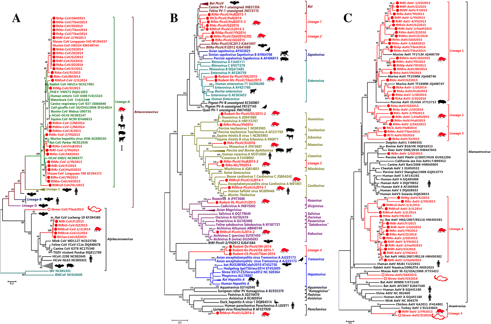 Fig. 5