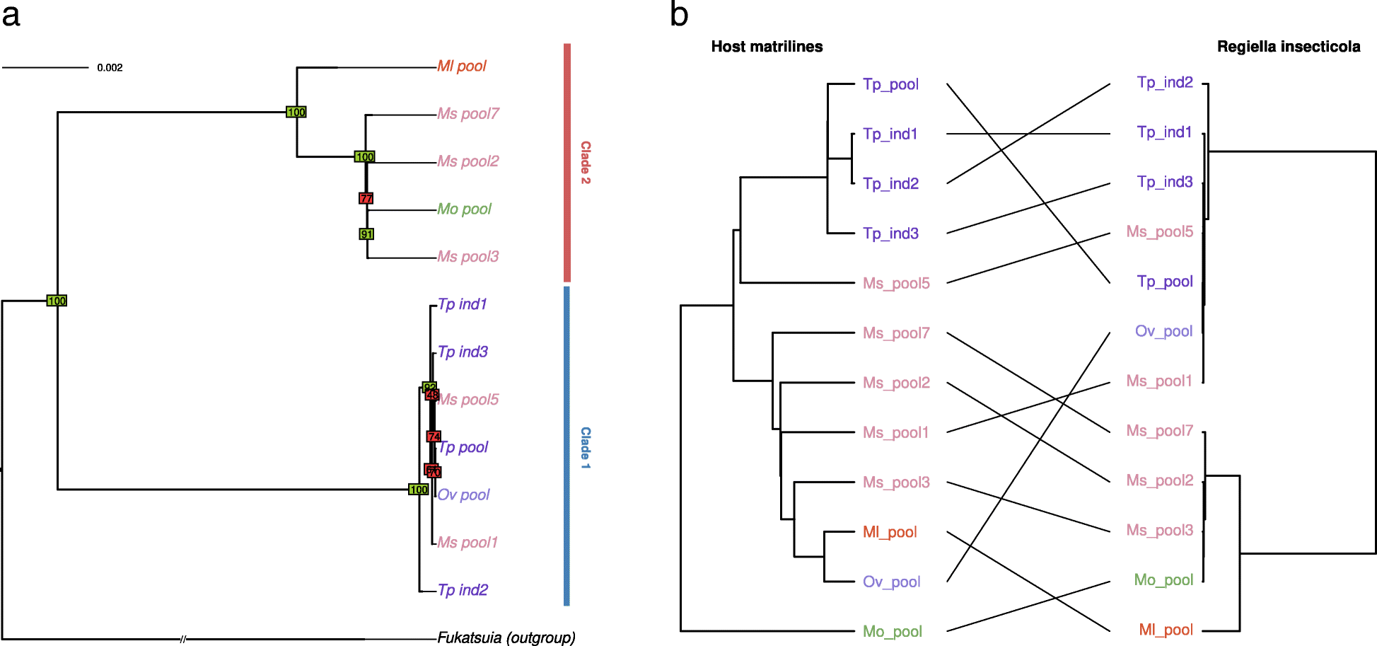 Fig. 5